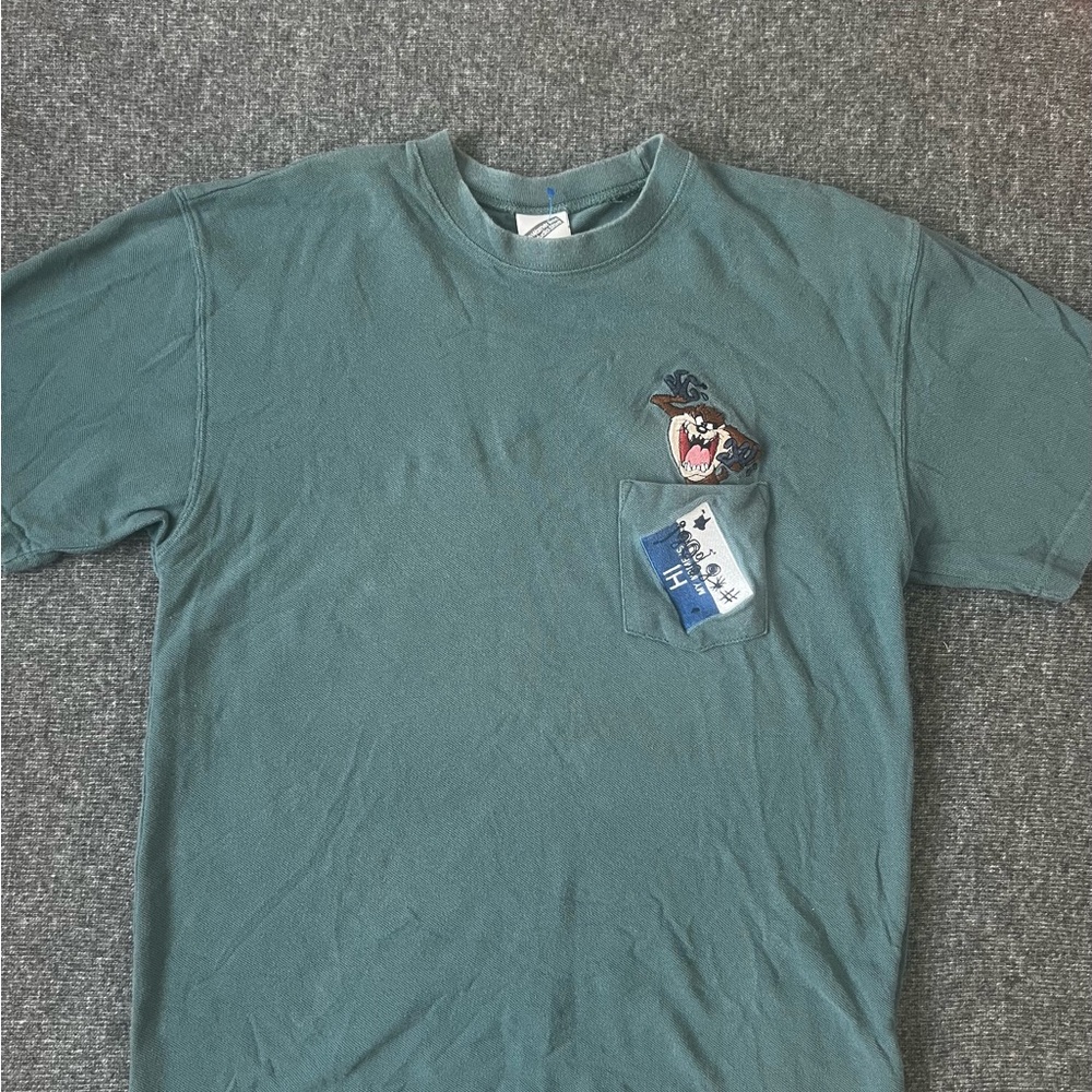 Vintage Warner Bros. Teal T-Shirt with Taz Graphic size M